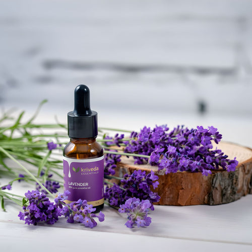 Kriveda Lavender Essential Oil 15 ml | 100% Pure & Natural | Steam Distilled | Chemical Free Lavender Oil for Aromatherapy, Skin & Relaxation