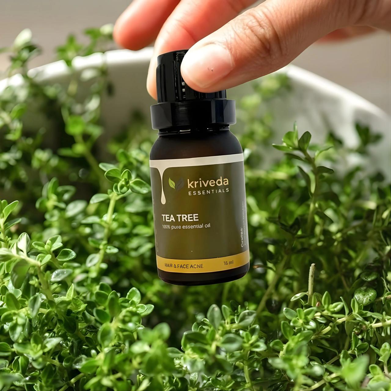 Kriveda Tea Tree Essential Oil 15 ml | 100% Pure & Natural | Steam Distilled | Chemical Free Tea Tree Oil for Aromatherapy, Skin & Hair Care