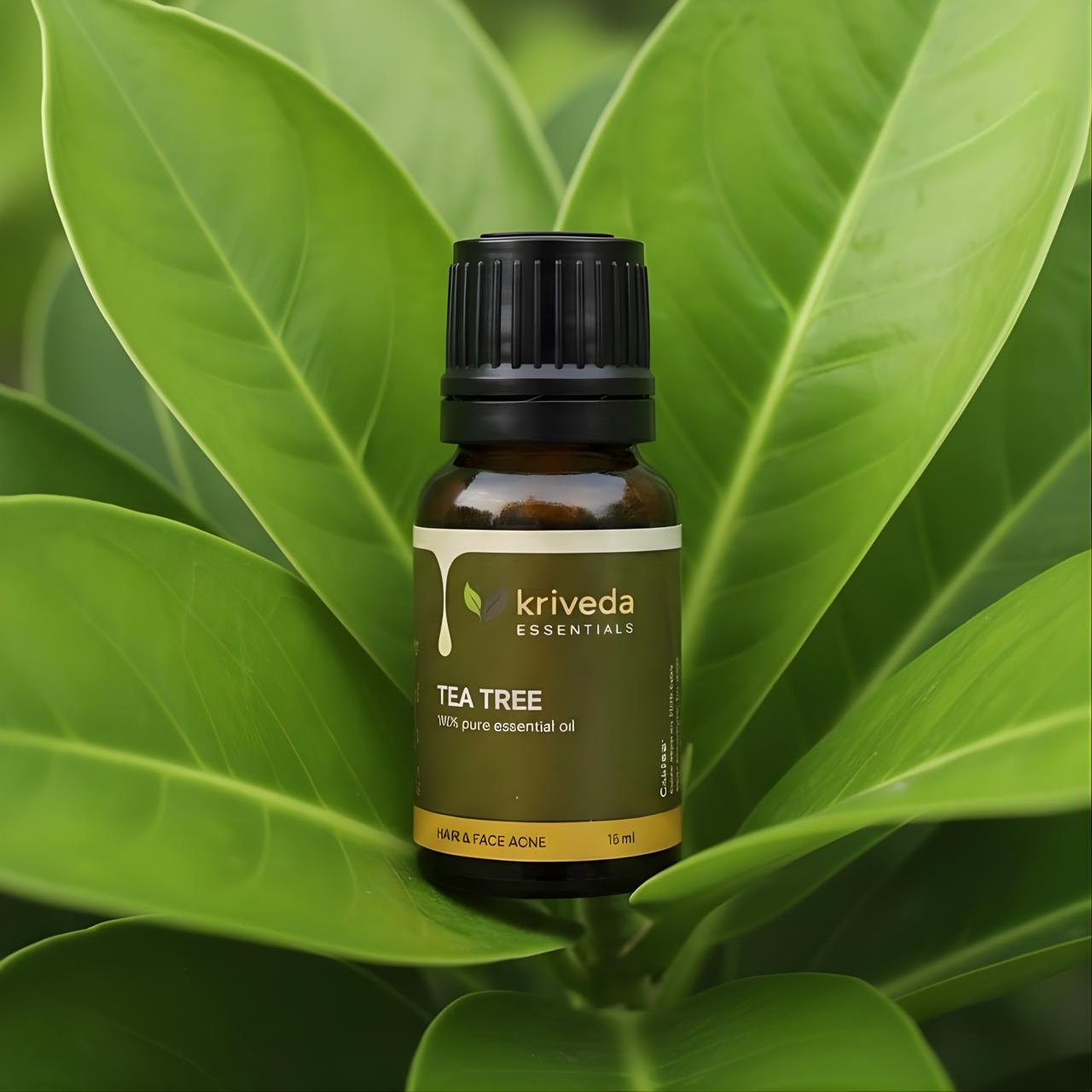 Kriveda Tea Tree Essential Oil 15 ml | 100% Pure & Natural | Steam Distilled | Chemical Free Tea Tree Oil for Aromatherapy, Skin & Hair Care
