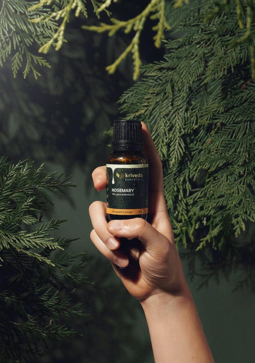 Kriveda Rosemary Essential Oil 15 ml | 100% Pure & Natural | Steam Distilled | Chemical Free Rosemary Oil for Aromatherapy, Hair & Scalp Care